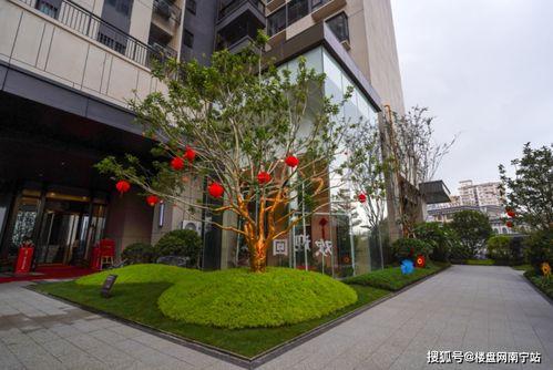 南宁华润爆料最新消息,揭秘项目进展与未来规划